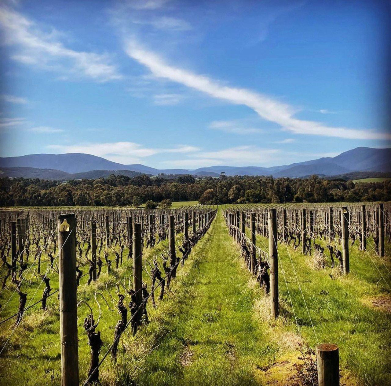 tours of yarra valley