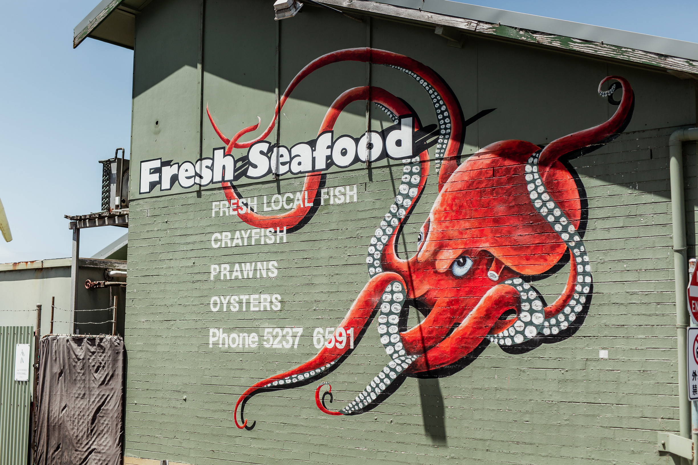 Seafood lunch at Apollo Bay Fishermen's Co-op