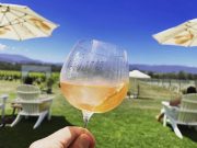 Yarra Valley winery tours