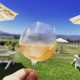 Yarra Valley winery tours